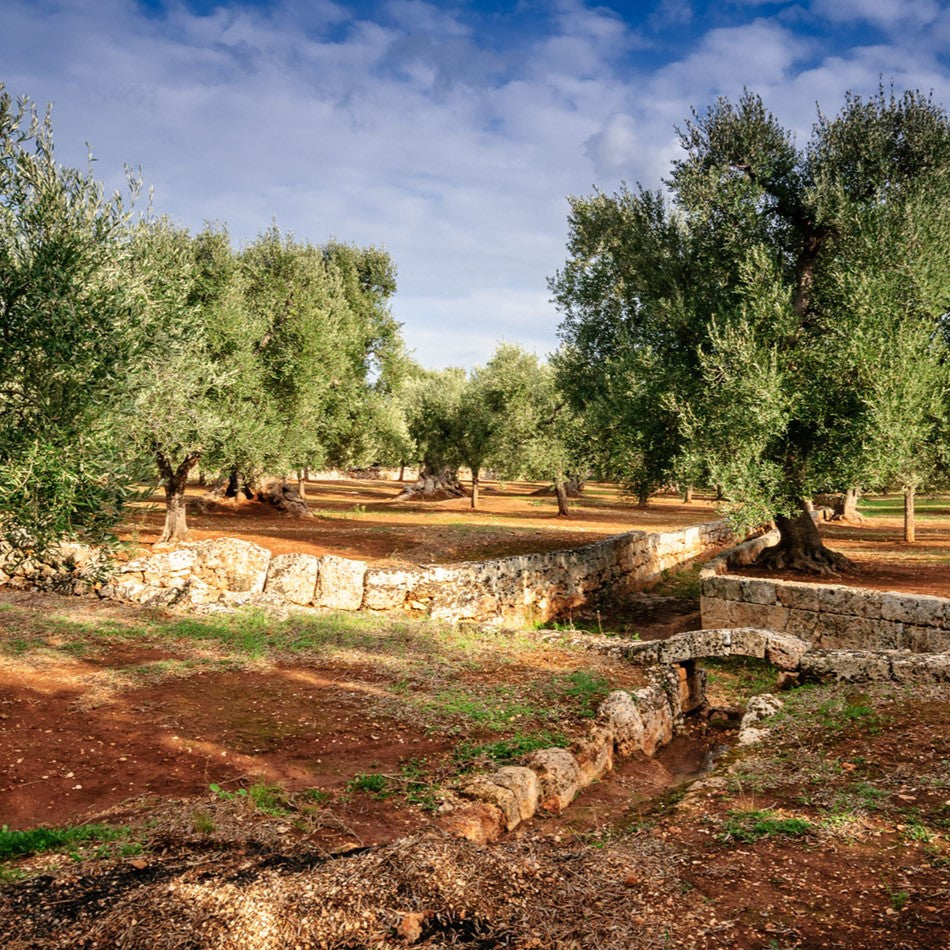 Desantis Organic Extra Virgin Olive Oil 100% Italian Olives 750ml